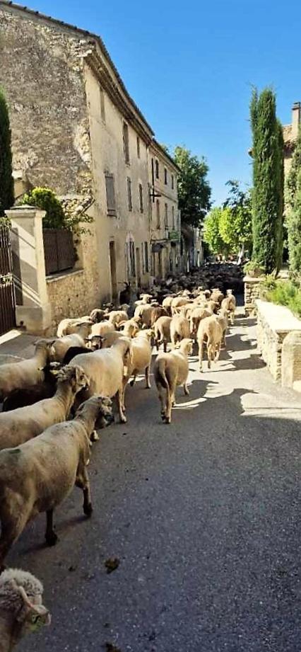 Chambres D'Hotes Le Relais Des Marmottes En Luberon Lagnes 외부 사진